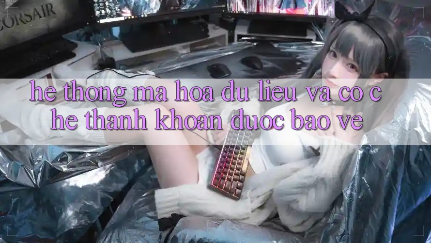 Hệ Thống Mã hóa dữ liệu Và Cơ Chế Thanh Khoản Được bảo vệ