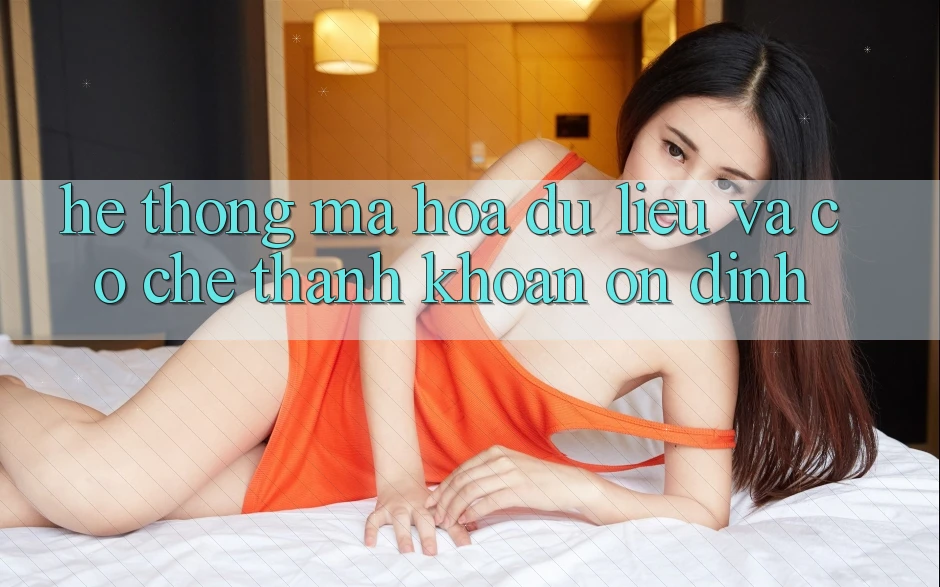 Hệ Thống Mã hóa dữ liệu Và Cơ Chế Thanh Khoản Ổn định