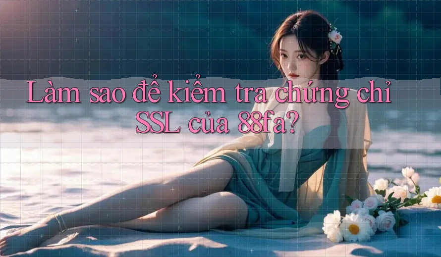Làm sao để kiểm tra chứng chỉ SSL của 88fa? Làm sao để kiểm tra chứng chỉ SSL của 88fa?