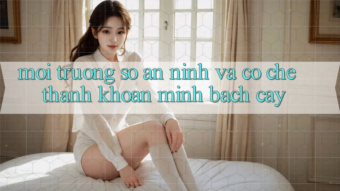 Môi trường số An ninh Và Cơ Chế Thanh Khoản Minh bạch Cậy