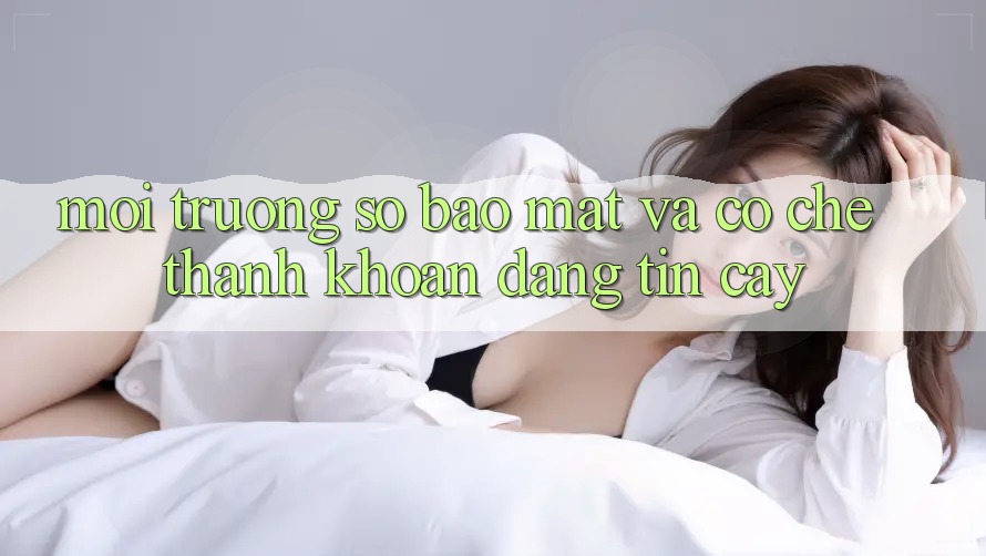 Môi trường số Bảo Mật Và Cơ Chế Thanh Khoản Đáng Tin Cậy