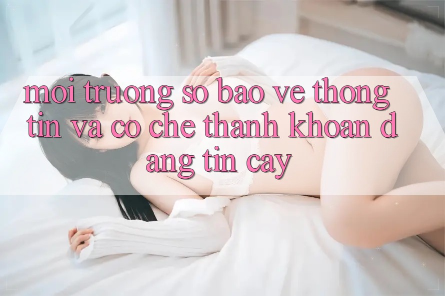 Môi trường số Bảo vệ thông tin Và Cơ Chế Thanh Khoản Đáng Tin Cậy