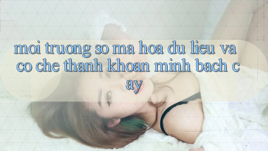Môi trường số Mã hóa dữ liệu Và Cơ Chế Thanh Khoản Minh bạch Cậy