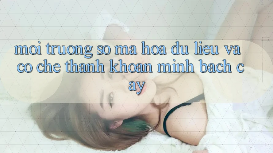 Môi trường số Mã hóa dữ liệu Và Cơ Chế Thanh Khoản Minh bạch Cậy