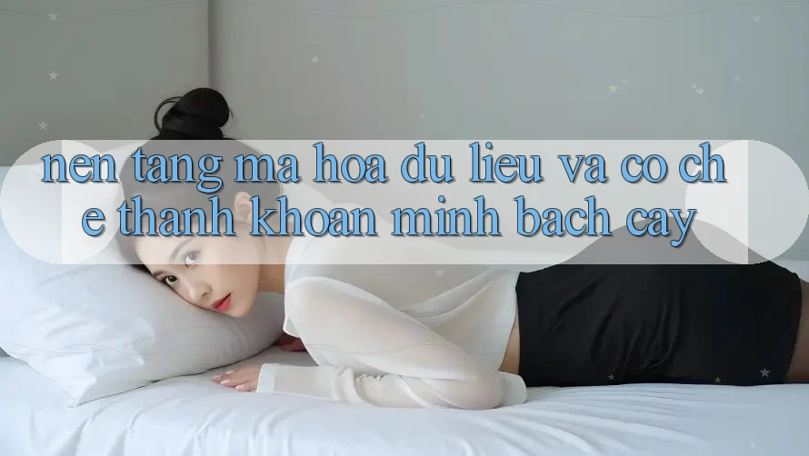 Nền tảng Mã hóa dữ liệu Và Cơ Chế Thanh Khoản Minh bạch Cậy