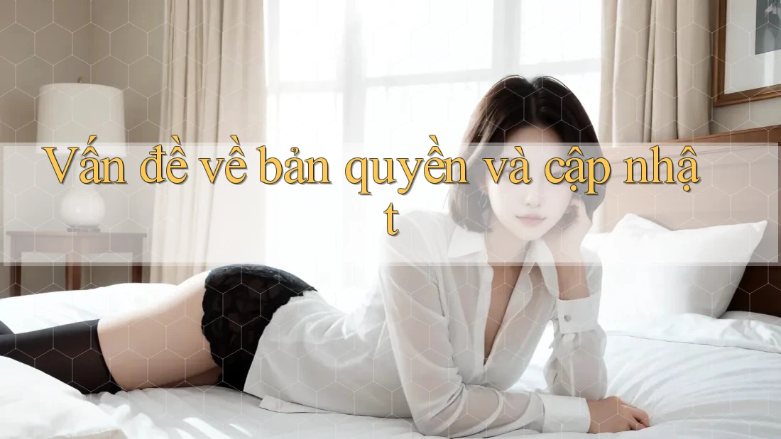 Vấn đề về bản quyền và cập nhật